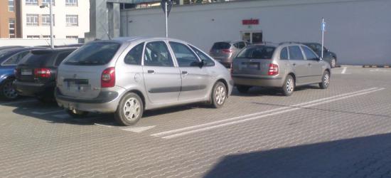 PARKOWANIE PO SANOCKU: ,,Między liniami” ciąg dalszy… (ZDJĘCIA)