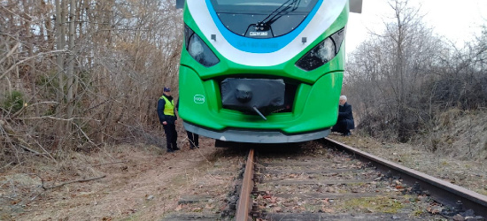 USTJANOWA: Wykoleił się pociąg z uchodźcami z Ukrainy! (FOTO)