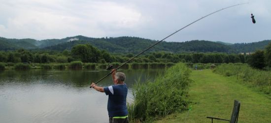 Maraton wędkarski na stawie „Sosenki”. Złowiono 65 kg ryb! (FILM, ZDJĘCIA)