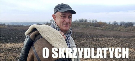 O sanoczanach, o których pamięta historia, a zapomniał region