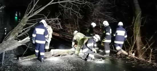 Zerwane dachy, drzewa na drogach, uszkodzone słupy (ZDJĘCIA)