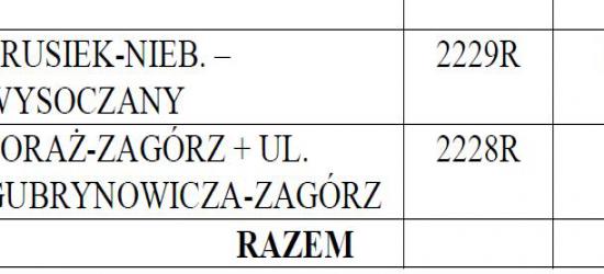 Zjazdowcy Dworku Sanockiego Syndrome Racing ponownie na podium (ZDJĘCIA)