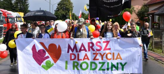 SANOK: Marsz Dla Życia i Rodziny. „Jestem Mamą – to moja kariera” (FOTO)