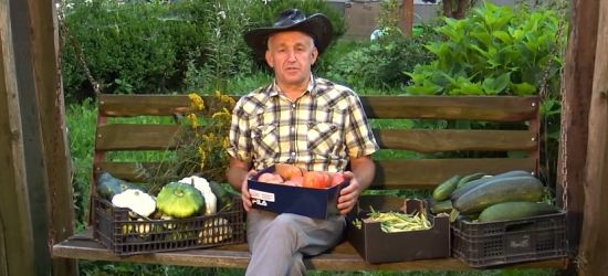Święto plonów w Niebieszczanach! Będzie zdrowo i ekologicznie! (VIDEO, FOTO)