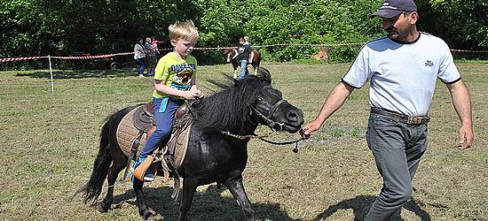 Policjanci dzieciom. Były trampoliny, zjeżdżalnie i przejażdżka kucykiem (ZDJĘCIA)