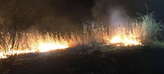 Nocny pożar traw. W akcji strażacy z OSP Odrzechowa (ZDJĘCIA)