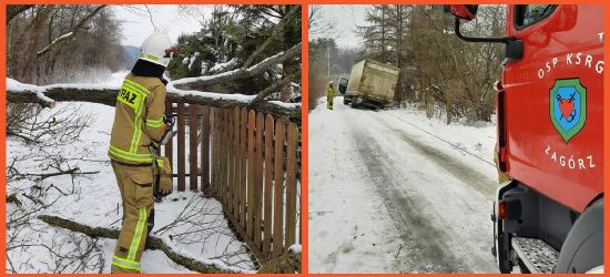 ZAGÓRZ: Złamane drzewo i pojazd na oblodzonym poboczu (ZDJĘCIA)