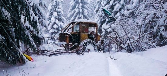Wilczyce oskarżają leśników o próbę zniszczenia obozowiska. Rzecznik RDLP zaprzecza