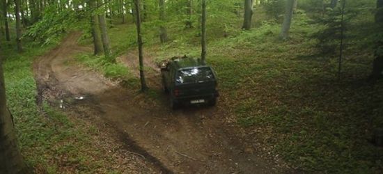 Kierowcy na potęgę łamią leśne przepisy