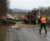 UWAGA KIEROWCY! Drogowcy usuwają drzewa. Są utrudnienia w ruchu (ZDJĘCIA)
