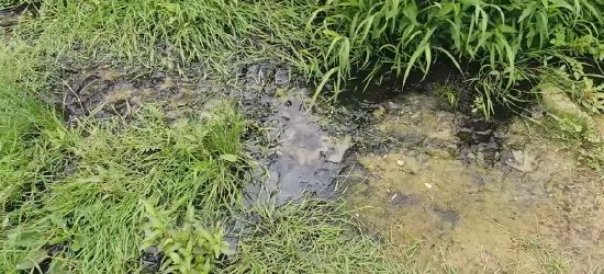 BIESZCZADY: Fetor, ścieki w Jeziorze Solińskim. Turystka nagrała film (FOTO)