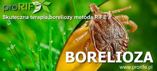 Plazmoterapia metodą Rif’e’a w Krośnie – postęp w leczeniu boreliozy