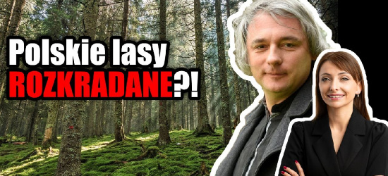 Czy dochodzi do grabieży polskich lasów na Podkarpaciu?! (VIDEO)