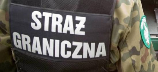 Afrykańczycy zatrzymani na granicy. Szli skrajem lasu