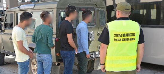 Nielegalni imigranci w przygranicznym lesie. Próbowali zbiec przed pogranicznikami