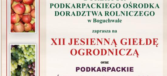 14 – 15 LIPCA: Dni Gminy Cisna