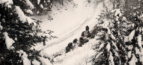 BIESZCZADY: Przetrwanie, unikanie, opór w niewoli, ucieczka (FOTO)