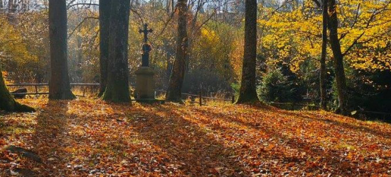 Czas leśnych mogił (ZDJĘCIA)