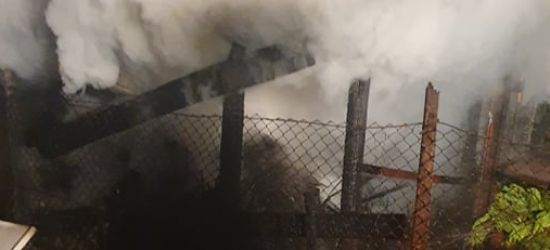 Płonął budynek i wiata! Kilkudziesięciu strażaków w akcji! (FOTO)