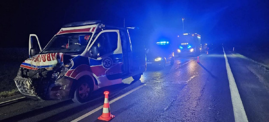 Zderzenie karetki z leśną zwierzyną w Zarszynie (FOTO)
