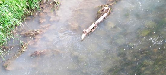 SANOK. Do Sanu wpływała biała substancja (ZDJĘCIA)