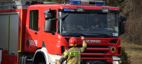 PODKARPACIE. Pożar w kotłowni. 11-latek i jego dziadek trafili do szpitala