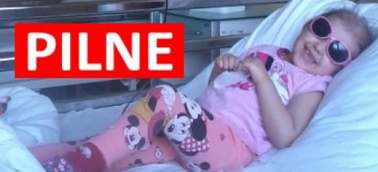 Marika potrzebuje naszej pomocy! Musi przyjąć lek już 10 sierpnia!