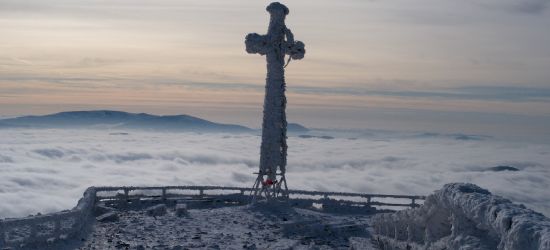 BIESZCZADY: Otulona mgłą Tarnica. Zjawiskowo! (ZDJĘCIA)