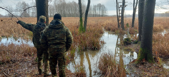 Na granicy polsko-białoruskiej niespokojnie. Akcja na bagnach
