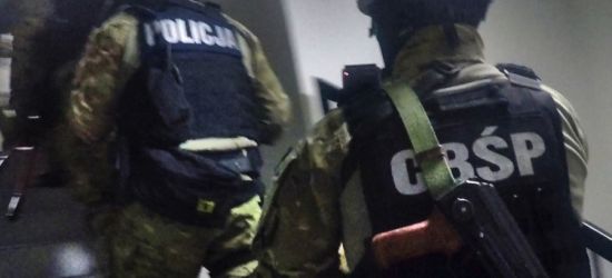 CBŚP: Zamknięto trzy agencje towarzyskie. Zatrzymano 13 kobiet (FILM, ZDJĘCIA)