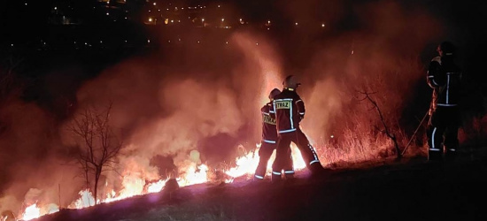Pożar traw w Zagórzu. Akcja druhów z OSP (ZDJĘCIA)