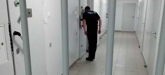 Okradał kościoły i fundacje. Trafił za kratki