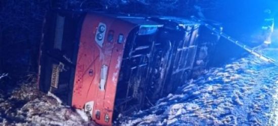 Autobus wpadł do rowu. Dwie osoby w szpitalu (FOTO)