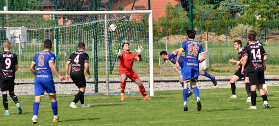 PIŁKA NOŻNA. Sezon bez porażki. Ekoball Stal Sanok kończy ligowe zmagania zwycięstwem