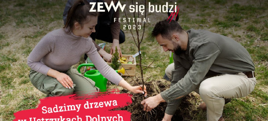 ZEW się budzi! Posadzą nawet 400 drzew!