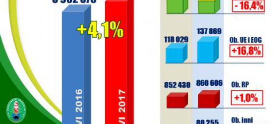 Straż Graniczna ujawniła 760 litrów spirytusu!