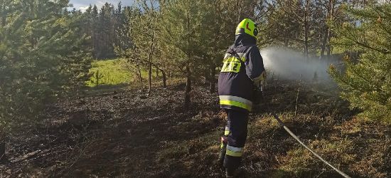 NIEBIESZCZANY. Wypalanie traw. Omal nie doszło do pożaru lasu (ZDJĘCIA)