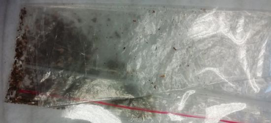 Nerwowe zachowanie 19 i 20-latka. W pudełku marihuana (FOTO)