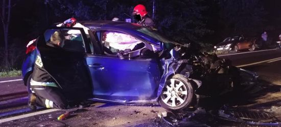 PODKARPACIE. Koszmarny wypadek. Ranne cztery osoby w tym dziecko! (ZDJĘCIA)