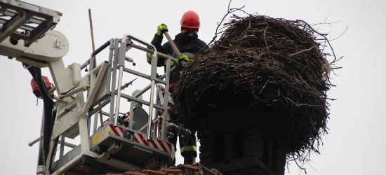 SANOK: Bocianie gniazdo na Posadzie uporządkowane! (NOWE ZDJĘCIA)