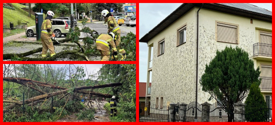 Blisko 500 interwencji strażaków na Podkarpaciu! (FOTO)