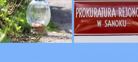 DZISIAJ: Oficjalne otwarcie galerii malarstwa XX wieku im. Marii i Franciszka Prochasków