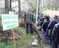 SANOK: Wycina się na potęgę. Pora wziąć się za sadzenie. Rozdano 10 tysięcy drzewek (ZDJĘCIA)