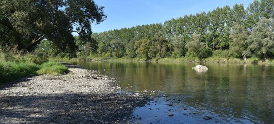 SANOK: Dwie firmy dadzą nowe życie brzegom Sanu. Rozstrzygnięto przetarg
