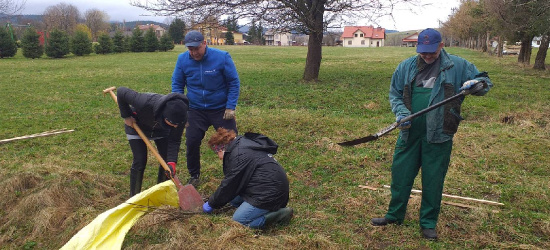 Akcja „Zielone Nagórzany”. Posadzili 50 drzewek miododajnych (ZDJĘCIA)