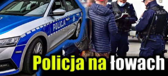 Łowy policji! Tysiące mandatów za brak „NAMORDNIKA”