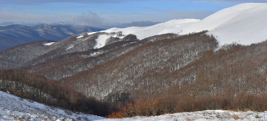 BIESZCZADY: Tarnica idealna na zimowe górskie wędrówki (FOTO)
