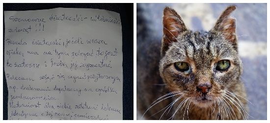 INTERWENCJA: „Ludzie, pozwólcie nam pomagać chorym zwierzętom! Nie utrudniajcie…”