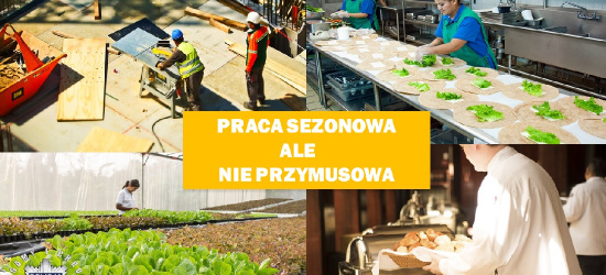 Praca sezonowa, ale nie przymusowa