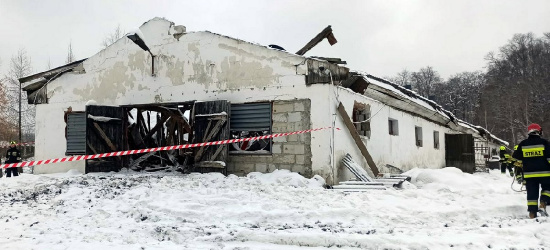 Pod ciężarem śniegu runął dach obory. Zginęły zwierzęta (ZDJĘCIA)